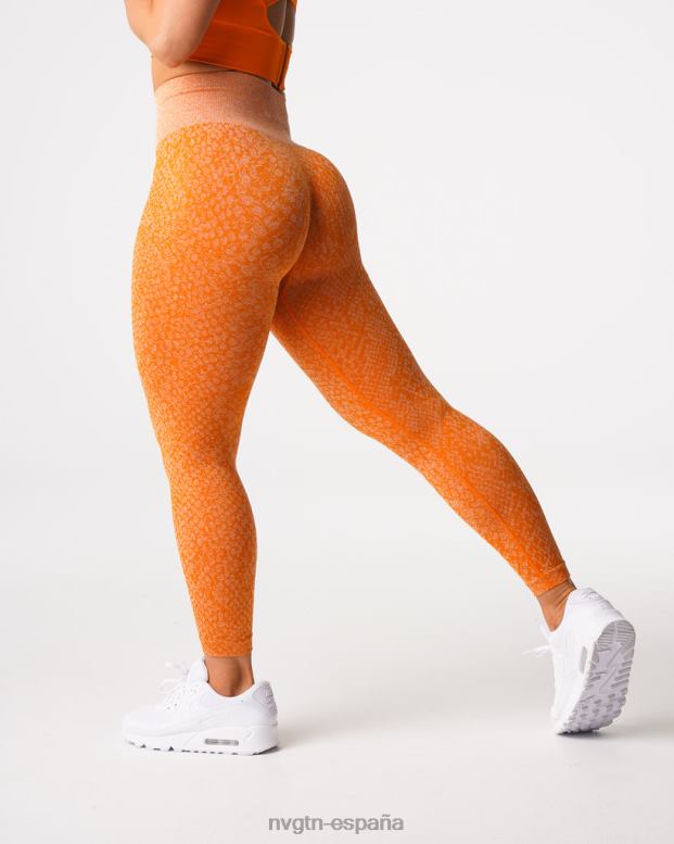 aptitud física mujer NVGTN HB2N2684 naranja quemada leggins sin costuras de piel de serpiente