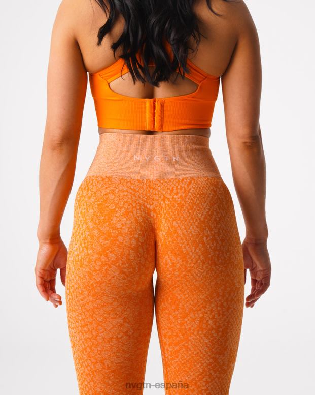aptitud física mujer NVGTN HB2N2684 naranja quemada leggins sin costuras de piel de serpiente