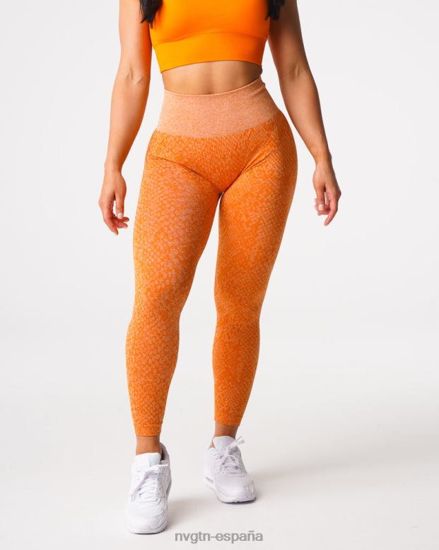 aptitud física mujer NVGTN HB2N2684 naranja quemada leggins sin costuras de piel de serpiente
